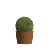 Bloempotten Cadiz Medium