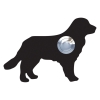 Deurbel Hond ''Baloe'' Zwart