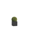 Bloempotten Glasvezel Alife Nano